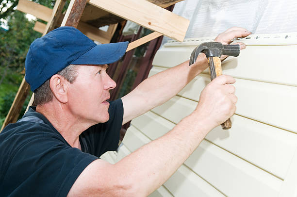 Best Insulated Siding Installation  in Forest Heights, TX